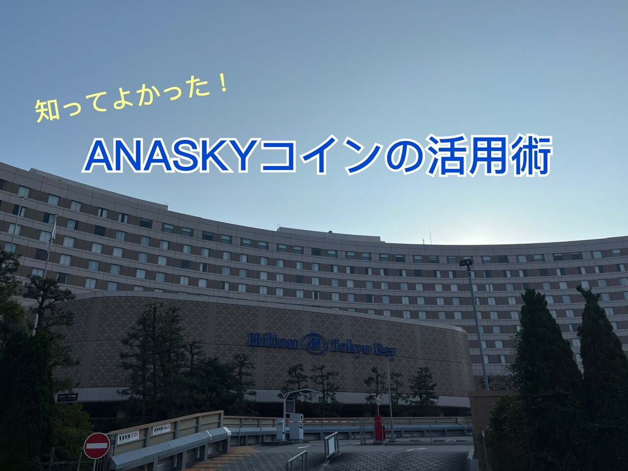 ホテル代に使える！知ってよかったANASKYコインの活用術【子連れ旅】