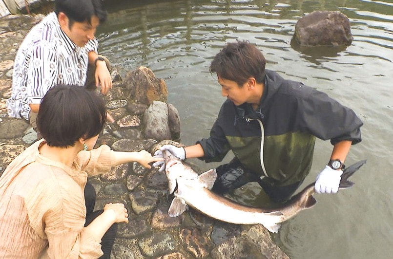 見学や餌やり体験もできる「チョウザメ」の養殖場。高級食材キャビアの試食も！｜岡山県新見市