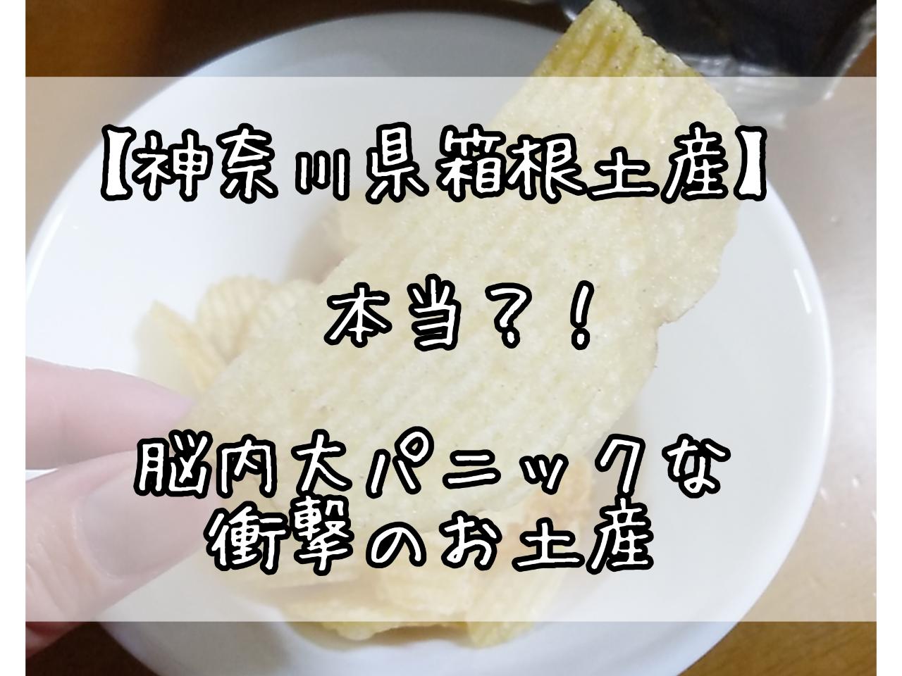 脳内大パニックな衝撃の箱根土産とは…！？