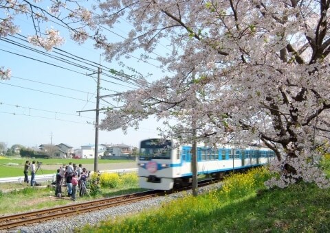 線路に立ち入った「撮り鉄」に9900円科料と停職処分　鉄道ファンの「行き過ぎ行為」どんな問題がある？