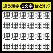 「1文字だけ違う……！」漢字間違い探しで脳トレしよう！【毎日脳トレ】【クイズ】