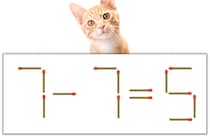 【マッチ棒パズル】正しい式にしよう！「7-7=5」【毎日脳トレ】