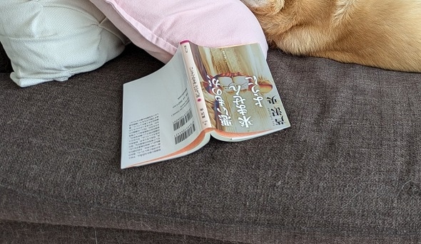 トイレに行って戻ってきた飼い主が見たものは……　“読書してた”愛犬の姿に「文学少女だね」「なんの本を読んでたの？」