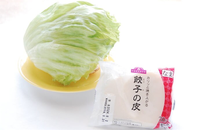 キャベツでも白菜でもなくて…軽い食べ心地の「レタス餃子」作ろう♪シャキシャキ食感も一緒に召しませ