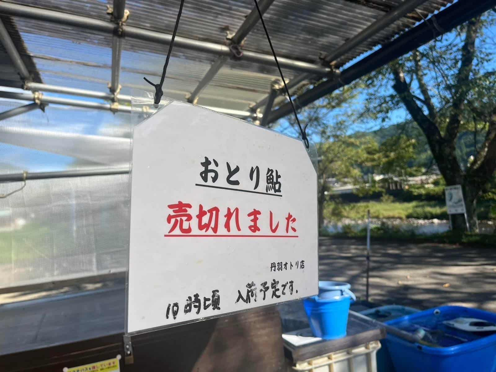 【名川・長良川】季節移り行く奥長良で金ピカ秋鮎を狙う！