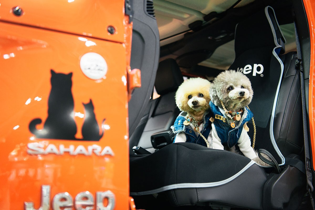 【2024年・ペット特集】愛犬家のJeepオーナー必見！ペットと行くドライブで役立つ最新＆おすすめアイテム