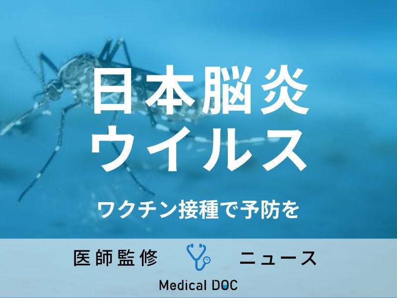 2人に1人が死ぬ!?「日本脳炎ウイルス」検出される ワクチン接種が健康を守るカギ