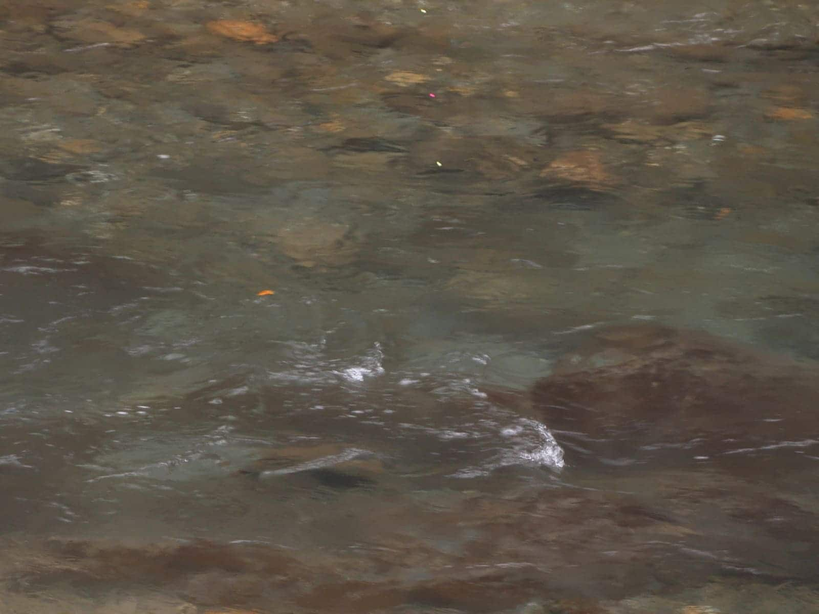 【驚愕】渇水と垢腐れの中、パターンを見つけ入れ掛かりを見せていく〝高橋祐次〟