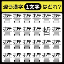 「1文字だけ違う……！」漢字間違い探しで脳トレしよう！【毎日脳トレ】【クイズ】