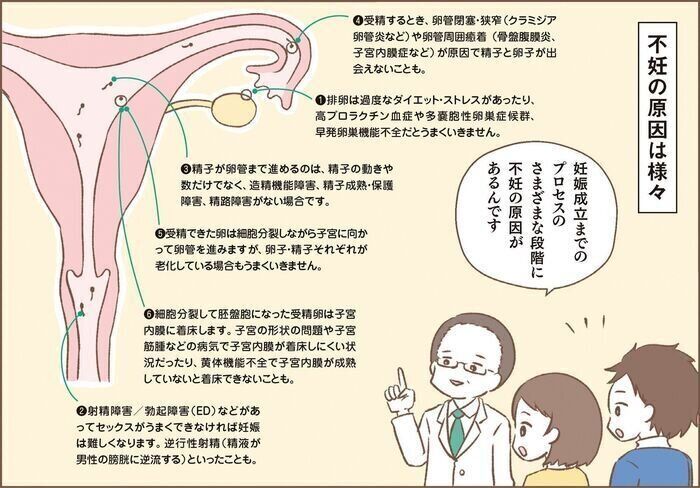 検査後いよいよ治療へ…治療の流れを知ろう！不妊治療クリニック受診ガイドSTEP2【男女共通のこと】