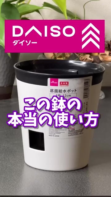 ダイソーで大人気の園芸グッズ「底面給水ポット」　超便利な使い方に「教えてくれてありがとうございます」の声