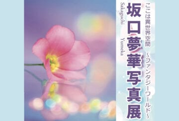 【嘉麻】11月23日（土）・24日（日）くがやCafeで「坂口夢華 写真展」が開催されます！