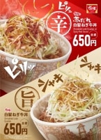 すき家「赤だれ白髪ねぎ牛丼」「白髪ねぎ牛丼」12月3日発売、シャキシャキ食感の白髪ねぎに特製だれをかけた2種類の牛丼、2024年の「赤だれ」は辛さがアップ、「フライドにんにく」を合わせた丼も同時発売