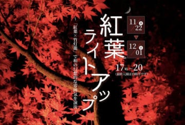 【直方】11月22日（金）～12月1日（日）福智山ろく花公園で「紅葉ライトアップ」が開催されます！