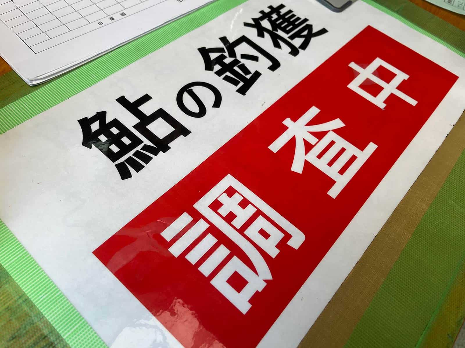 2024ラスト鮎釣行へ！特別採捕期間の相模川・中津川にて納竿！