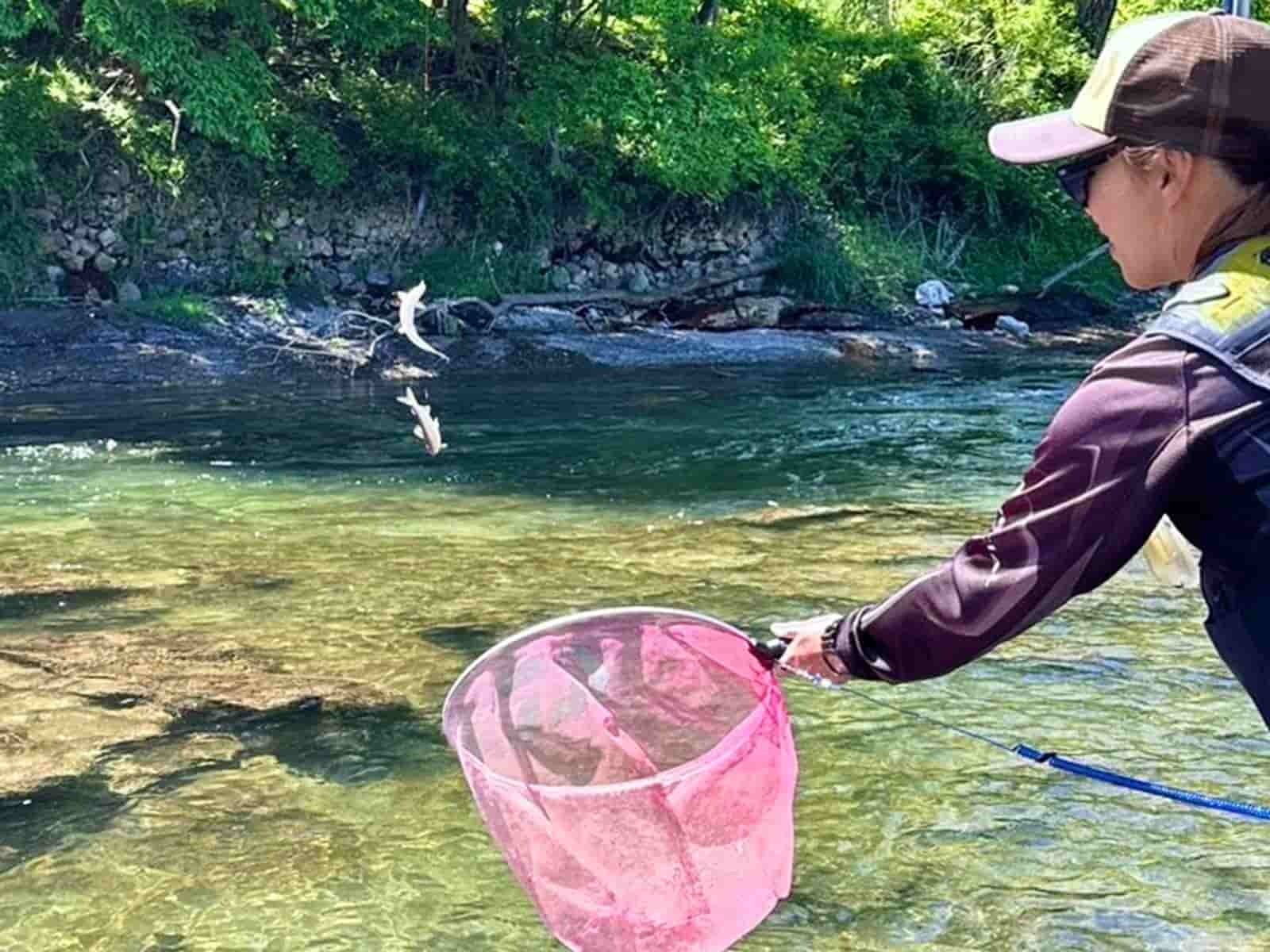 【2024年に訪れた川、全部見せます！】追憶の夏！～鮎釣りシーズン回想～