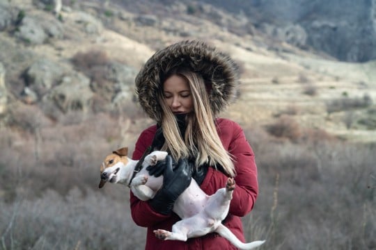 犬を抱っこから落としてしまった場合にすべき4つの行動　決して他人事ではない注意点を知っておこう