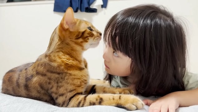 触ると噛みつく凶暴な猫に5歳の女の子が近づくと……素敵なやり取りの様子が癒やされると24万7000再生「信頼しているんだね」「可愛い」