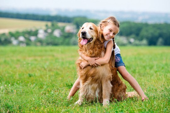 犬を一目惚れで飼っていいの？　外見だけで決めるべきではない理由をご紹介