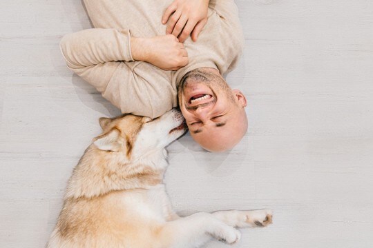 たくさん『愛情』を受けている犬の特徴4選　幸福感に満ち溢れている犬が見せる行動とは？