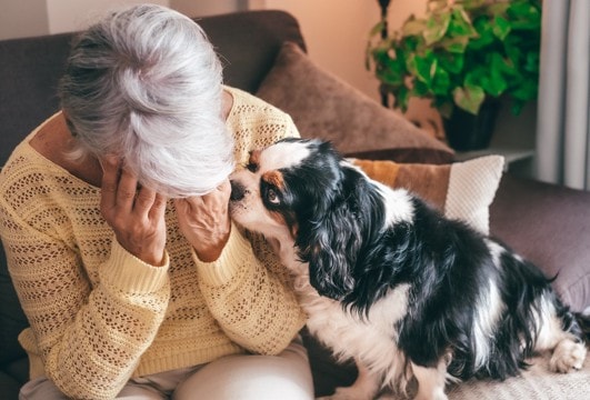 飼い主のストレスは犬に伝わっている？　配慮するべき愛犬との付き合い方とは