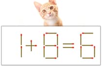 【マッチ棒パズル】正しい式にしよう！「1+8=6」【毎日脳トレ】