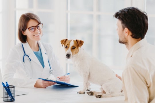 【獣医が解説】愛犬の『かかりつけの先生』とは？動物病院を選ぶポイント、診察の際に話しておきたい事