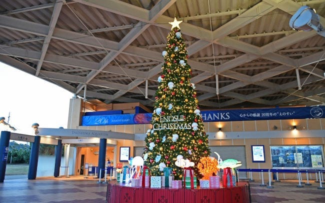 新江ノ島水族館で、海の生き物たちとクリスマスを過ごせる「ENOSUI CHRISTMAS」が開催中！