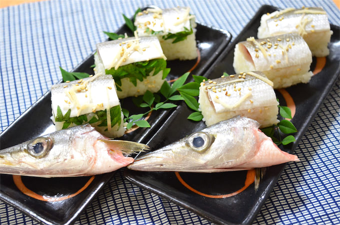 ゆず酢で〆る「かますの寿司」作ってみた！シメサバとはひと味違う繊細さ♡ゴマと生姜の風味が良き【農家直伝】