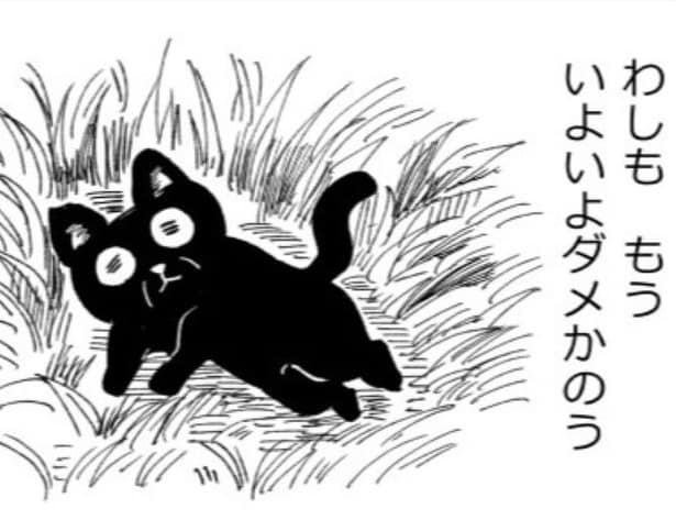 15歳の老齢猫を保護！「一匹と一人がニコイチになる瞬間」を描きたかった!!「寂しがり」な飼い主をおいて死ねない猫の姿に号泣必須！【作者に聞く】