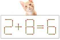 【マッチ棒パズル】正しい式にしよう！「2+8=6」【毎日脳トレ】