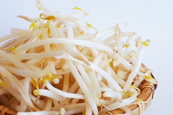 《最強》コスパ野菜・モヤシ！財布に優しいけどすぐ傷む！買ってきたら即やるべき“保存”のコツ