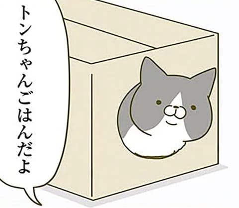 愛猫が年に数回ある「運命の出会い」。ごはんも食べずに...!?／うちの猫がまた変なことしてる。2