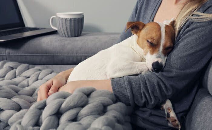 犬が「吐く前」に見せるサインとは？ 吐いた後に「様子見が危険な症状」について獣医師が解説