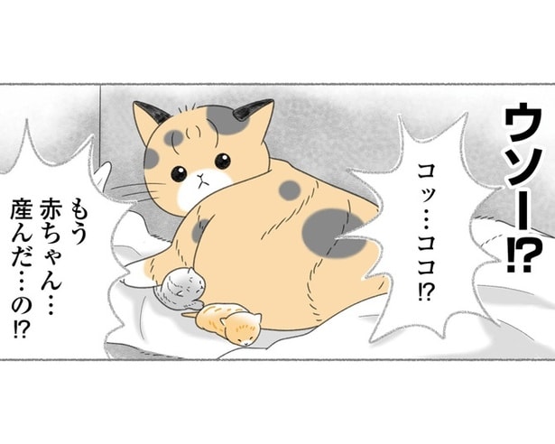 【ネコ漫画】保護した猫がいつのまにか出産していた!?母猫と子猫のために、人間ができることとは？