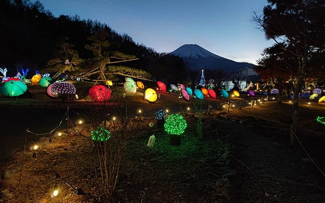 山中湖 花の都公園「2024イルミネーションファンタジウム」。ダイヤモンド富士もきらめく星々も堪能しよう