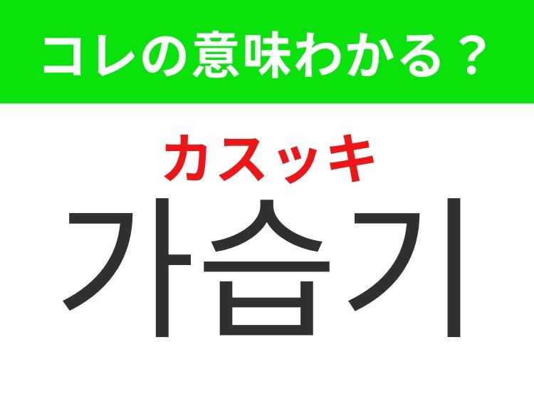 【韓国生活編】覚えておきたいあの言葉！「가습기（カスッキ）」の意味は？