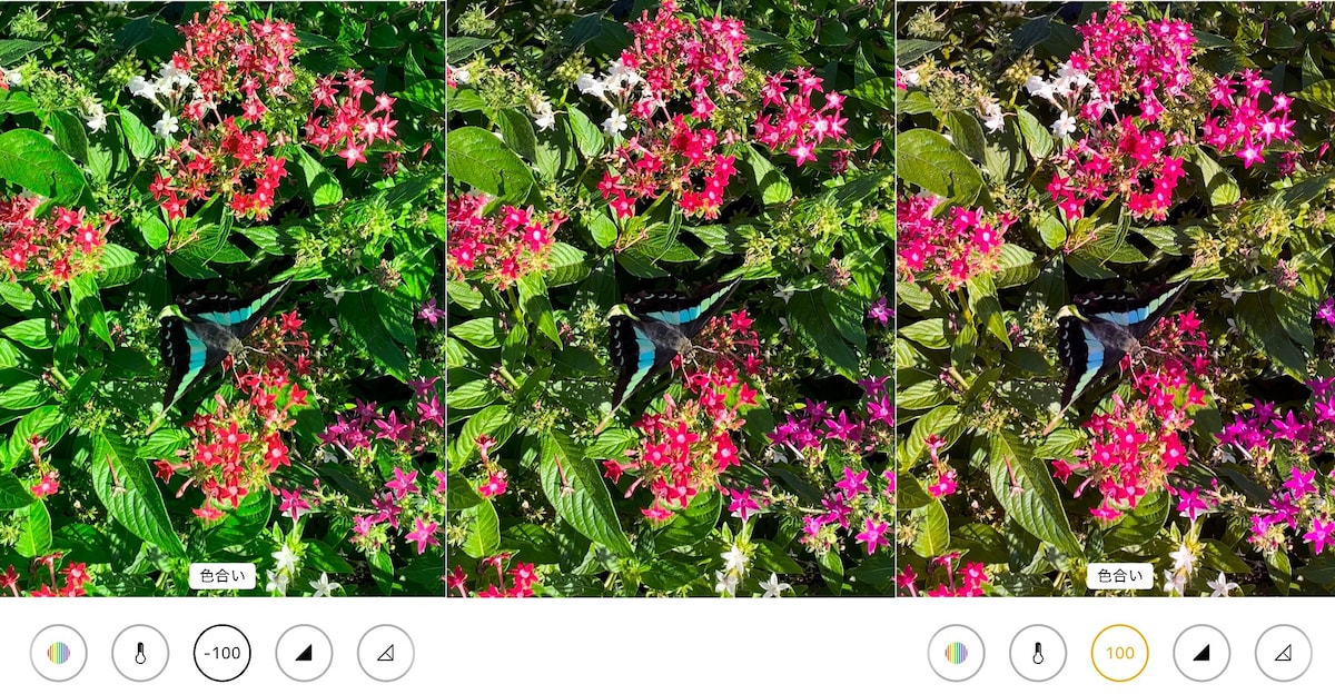 【標準アプリでいい感じに！】iPhone写真編集機能の加工テクニック