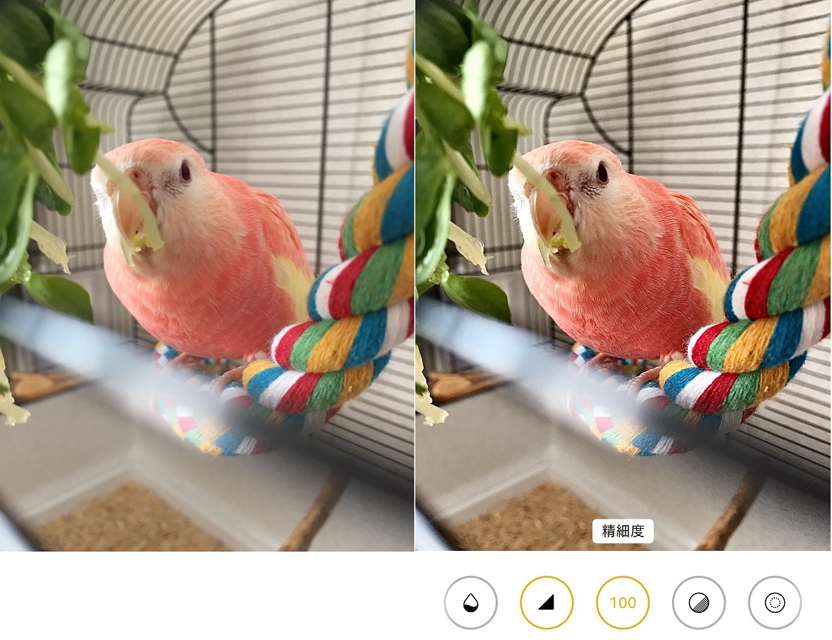 【標準アプリでいい感じに！】iPhone写真編集機能の加工テクニック