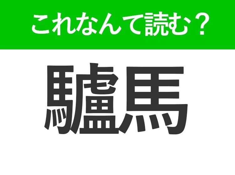 【驢馬】はなんて読む？英語で「ドンキー」と呼ぶ動物