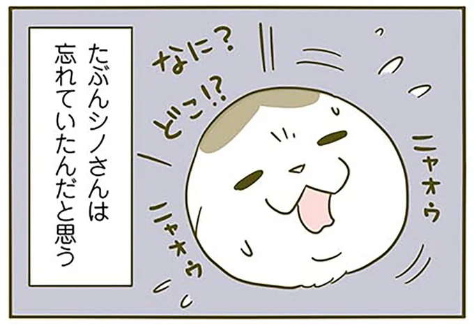 「どこ!?」目覚めた猫がパニック。寝ていた「まさかの場所」は／うちの猫がまた変なことしてる。3