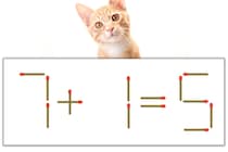 【マッチ棒パズル】正しい式にしよう！「7+1=5」【毎日脳トレ】