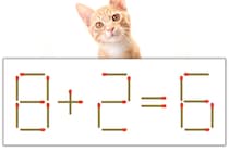 【マッチ棒パズル】正しい式にしよう！「8+2=6」【毎日脳トレ】