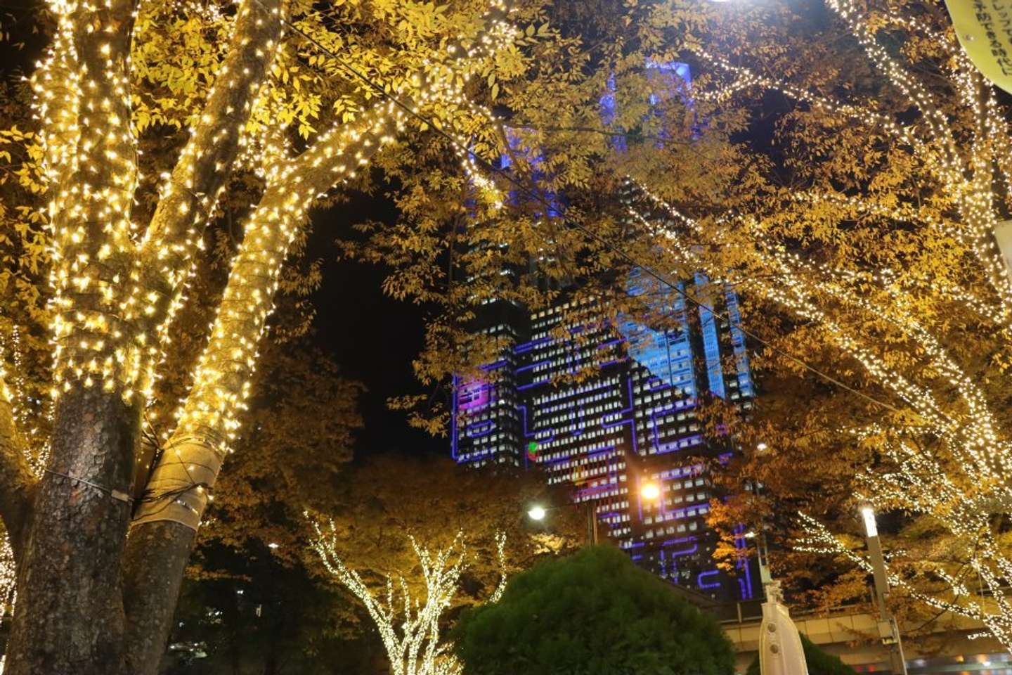 夜の西新宿は今、シャンパン色に染まってます　お寿司や蕎麦も食べられる〝江戸感〟イルミイベント開催中