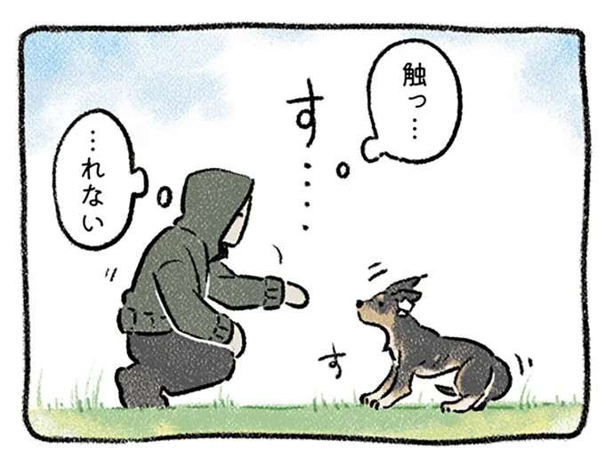 「触られるのが嫌いだった」保護犬。暮らし始めた頃の試行錯誤の日々／ドベとノラ