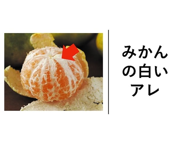 【年末年始は雑学三昧！】みかんの白い「アレ」の名前、知ってる？