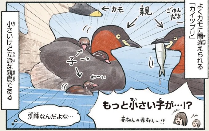 「訂正してあげるか悩みどころ...」実は立派な大人なこの鳥／意外と知らない鳥の生活