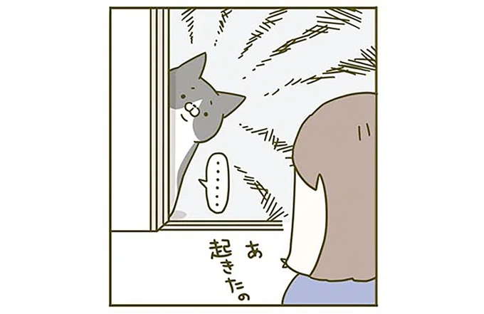 猫も時には「気を遣う」。初めてあげるごはんの反応が...／うちの猫がまた変なことしてる。2