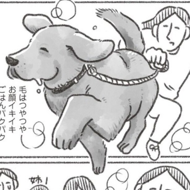 【仕事を辞めて16歳の老犬を介護】その時の感情や出来事を絵日記という形で残しておきたい【著者に聞いた】