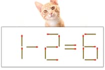【マッチ棒パズル】正しい式にしよう！「1-2=6」【毎日脳トレ】